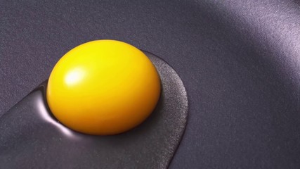 Egg must for health