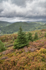 Landscape image of view from Precipice Walk in Snowdonia overlooking Barmouth and Coed-y-Brenin forest during rainy afternoon in September