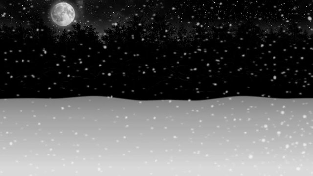 moving through night winter snow forest animation