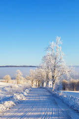 Obraz premium Winter country road with fog in the valley