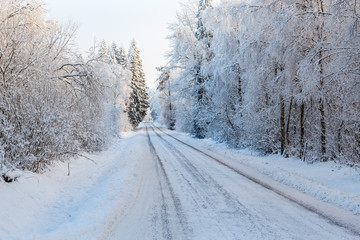 Desert winter road in a forest with snow and frost