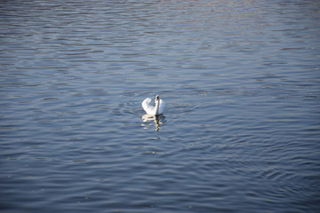Prague, République Tchèque