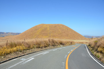 The beautiful yellow leaves of Aso