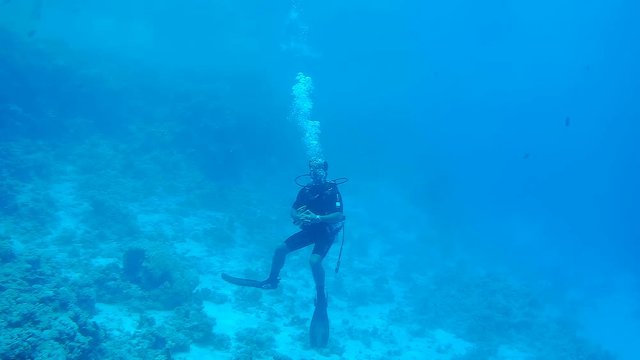 The SCUBA Diver is swimming at a blue depth.