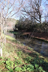 世界遺産・富士山の構成資産、忍野八海（お釜池）