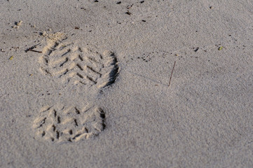 Foot print pattern of shoe or boot on beach sand in vintage tone