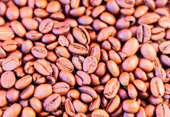 Coffee beans brown background - copy space for text