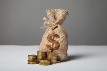 Sack with money and dollar silhouette on gray background. Symbol of wealth and success.