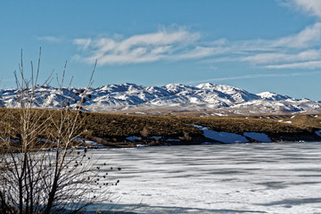 Frozen Landscape