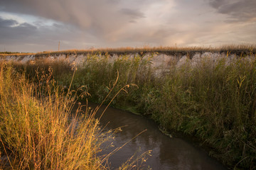 Obraz premium riverbed with high banks &nbsp;