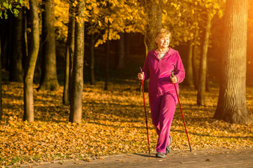 Active senior woman hiking walks at colorful Sunny autumn park