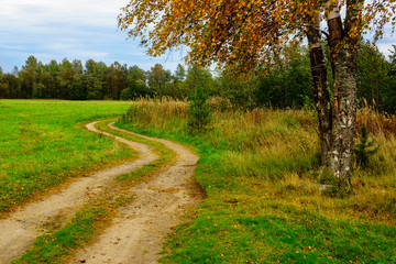 Fototapeta na wymiar Russian landscape and country road on nature
