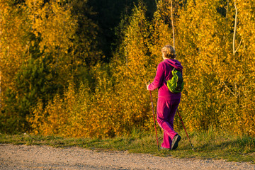 Fototapeta premium woman Nordic walking with sticks in the countryside