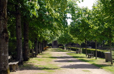 Fototapeta premium Allée d'arbres et bancs, parc de la ville d'Avranches, département de la Manche, France