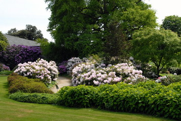 Parc de la ville d'Avranches, arbustes, pelouse et massifs de fleurs roses, département de la Manche, France	