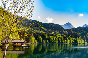 Fototapeta premium A picturesque view of a wooden boat shed at the shore of the popular Alpsee lake surrounded by a protected forest landscape and the Alps in the background in Bavaria, Germany.