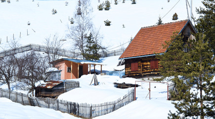 Zlatibor snow mountain in Seerbia