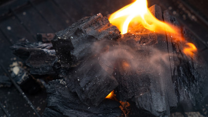 Charcoal and saltpeter mixed together can be used as a fuel for cooking.