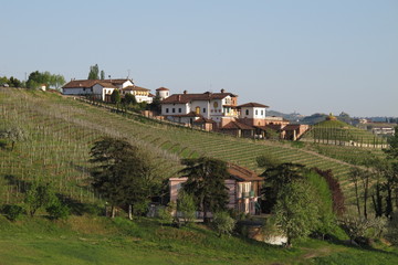 The vineyards and fields of the Piemonte wine region of northern Italy near Monforte d'Alba.