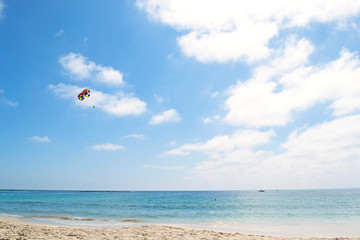 Seashore. Holidays at sea