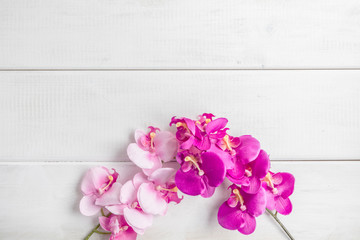 Artificial orchids on white wooden background.