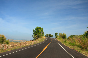 Road with grass flower , clearly blue sky  in countryside of Thailand.