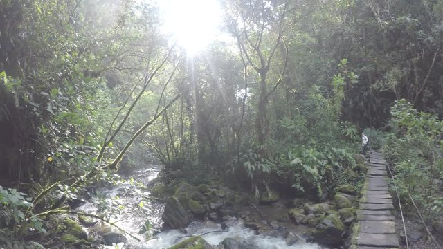 Kolumbien Cocora Valley Wachspalmen Nationalpark mit Nebelwald und Dschungel gefilmt mit Protune f&uuml;r gute Farbkorrigierung nachtr&auml;glich geeignet