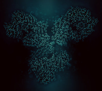 IgG1 monoclonal antibody (immunoglobulin). Many biotech drugs are antibodies. 3D rendering based on protein data bank entry 1igy. Ball-and-stick model, black background.