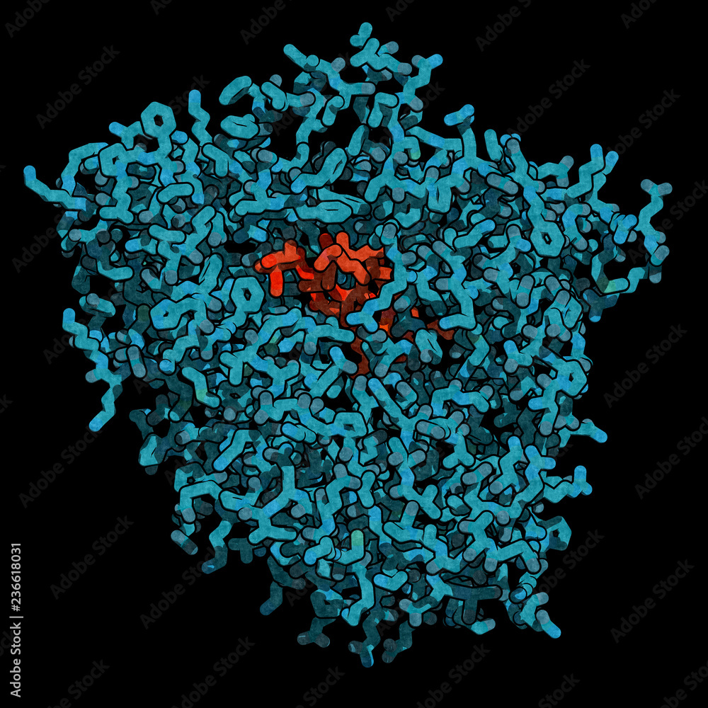 Poster cytochrome p450 (cyp3a4) liver enzyme in complex with the antibiotic erythromycin. 3d rendering base