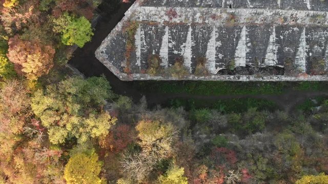 Flight Over the Roof of the Old Fortress, Tarakaniv Fortress, Forest Around an Abandoned Fortress of Second World War
