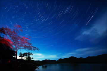 Beautiful Spiral Star Trails over filed with lonely tree Beautiful night sky  Vortex star trails.