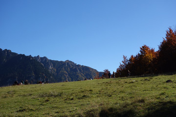 Fototapeta premium Autumn in October on the paths of the mountains 2
