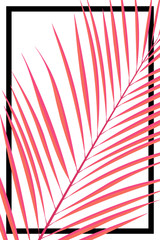 Abstract summer card. Pink tropical leave on white background