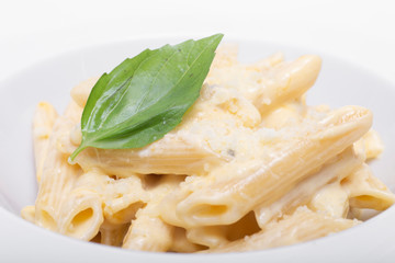 Pasta with cheese in creamy sauce.
