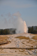 GEYSER OLD FAITHFUL YELLOWSTONE NATIONAL PARK (WYOMING) USA