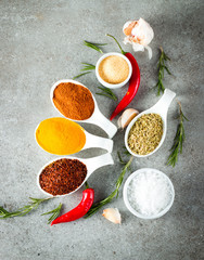 Spices in Wooden spoon. Herbs. Curry, Saffron, turmeric, rosemary, cinnamon, garlic, pepper, anise on wooden rustic background. Collection of spices and herbs. Salt, paprika. 