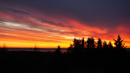 Fototapeta na wymiar Horizontal silhouette of sunset forest landscape background