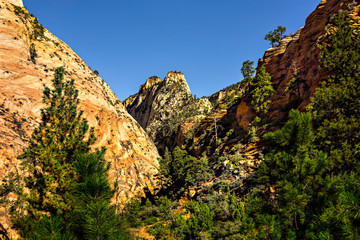 Zion National Park