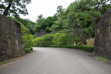 park in the tokyo japan
