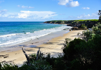 Fototapeta premium Wild Australian coastline, East Gippsland, Victoria