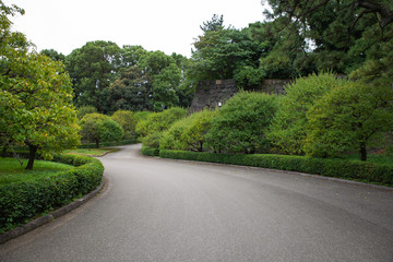 Obraz premium park in the tokyo japan