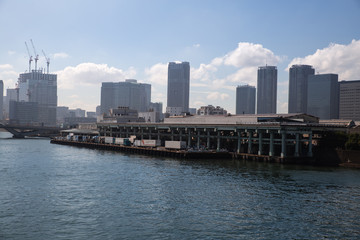 Obraz premium tokio, japonia - październik, 6,2018: targ rybny tokyo tsukiji to ostatni dzień dla biznesu.