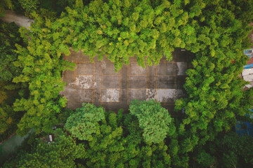 badminton court in the forest