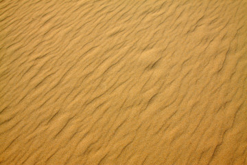 brown beach texture in nature