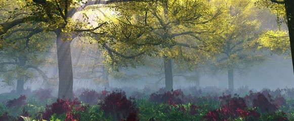 Beautiful morning forest in the haze, autumn trees in the fog,
