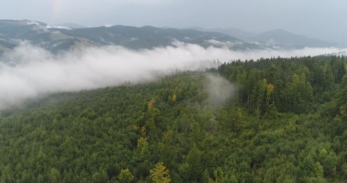top view of the magnificent misty forest in the mountains
