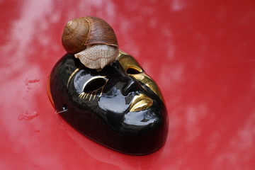 Venetian black and gold mask with a  snail on the red ground
