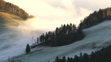 Fog flow in snow forest