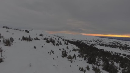 Snow landscape in forest with mountains