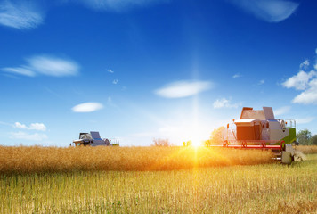  Combine working in field.